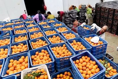 農(nóng)村消費(fèi)升級(jí)與渠道下沉加速下的農(nóng)產(chǎn)品零售物流新考驗(yàn)