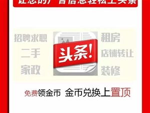 萍聚湘贛 技藝交融的時代回響